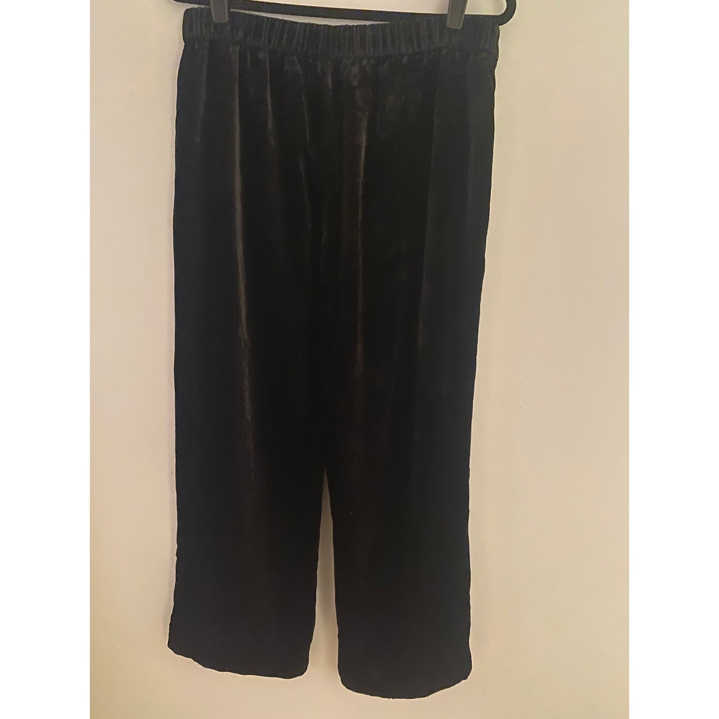 J. Crew Purple Velvet Joggers Size 12T