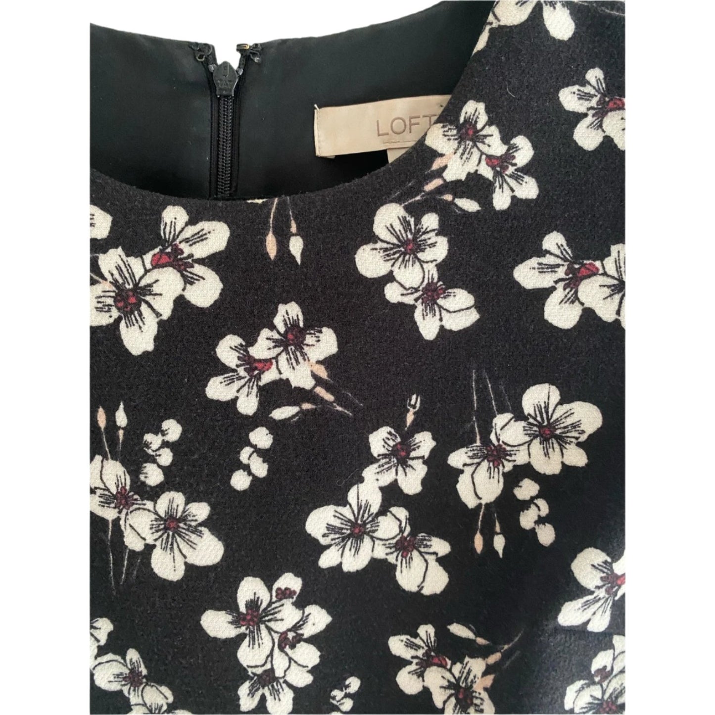 Ann Taylor Loft Black Floral Dress Size 2P