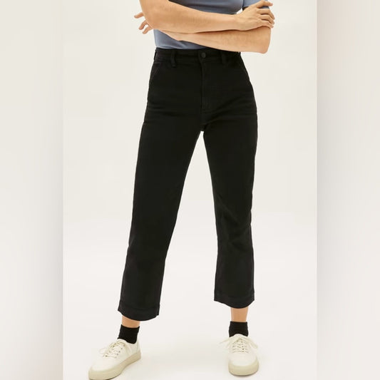 Everlane The Straight-Leg Crop Pants Size 0