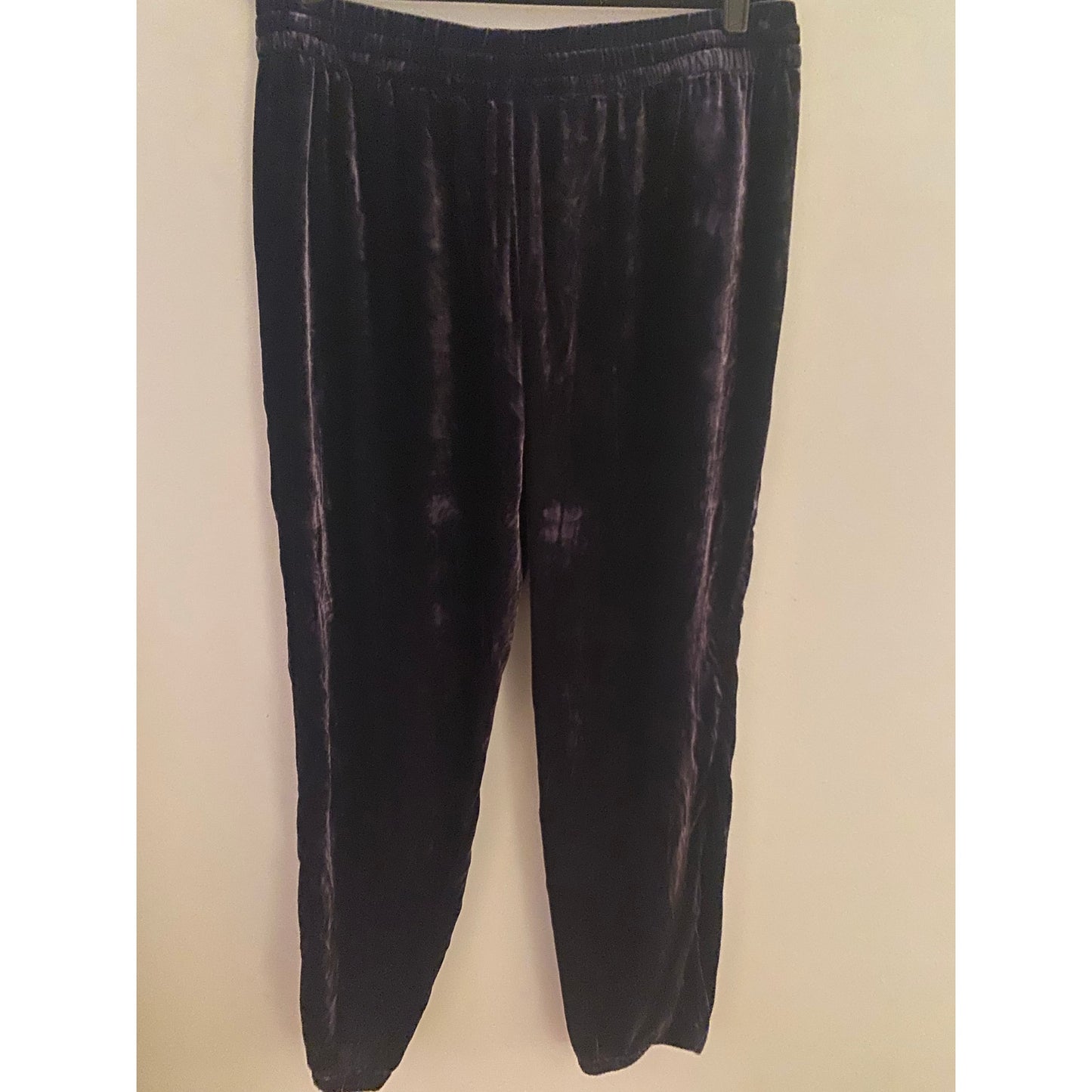 J. Crew Purple Velvet Joggers Size 12T