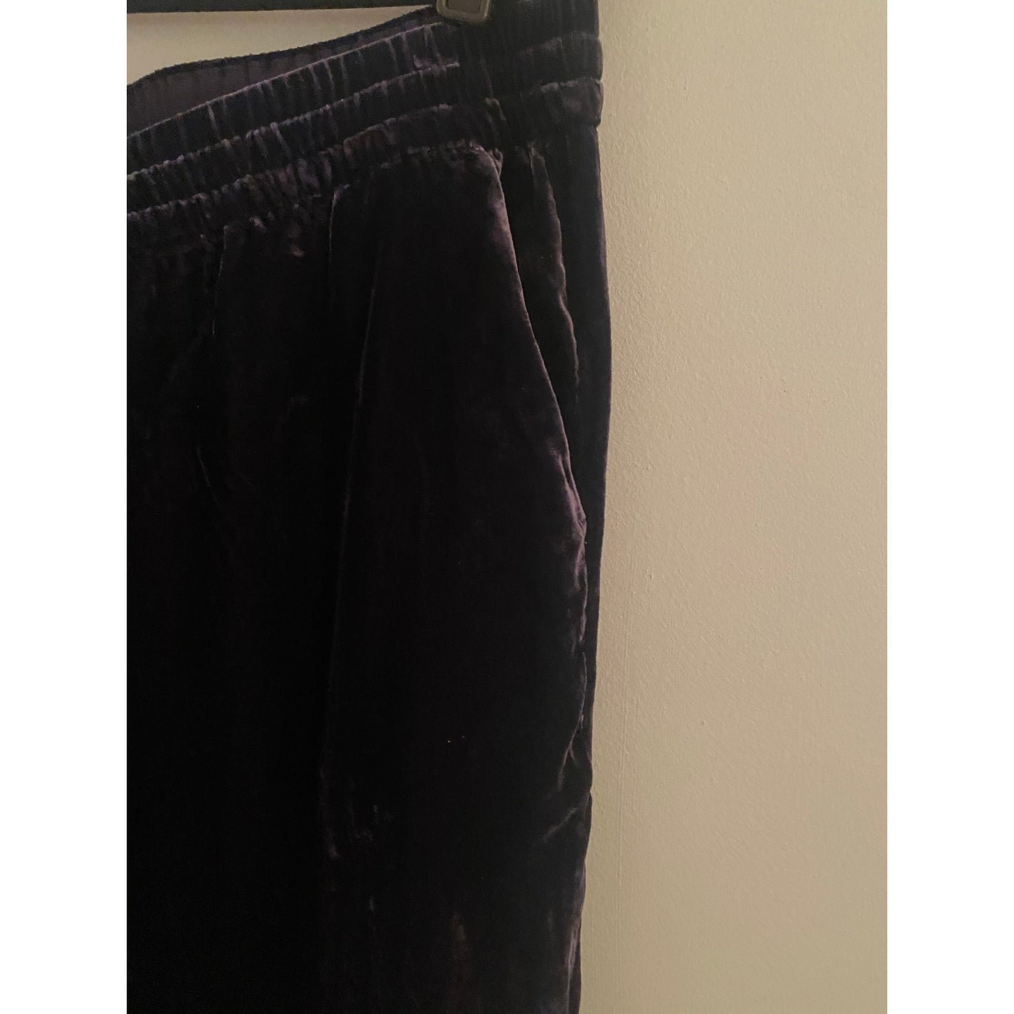 J. Crew Purple Velvet Joggers Size 12T