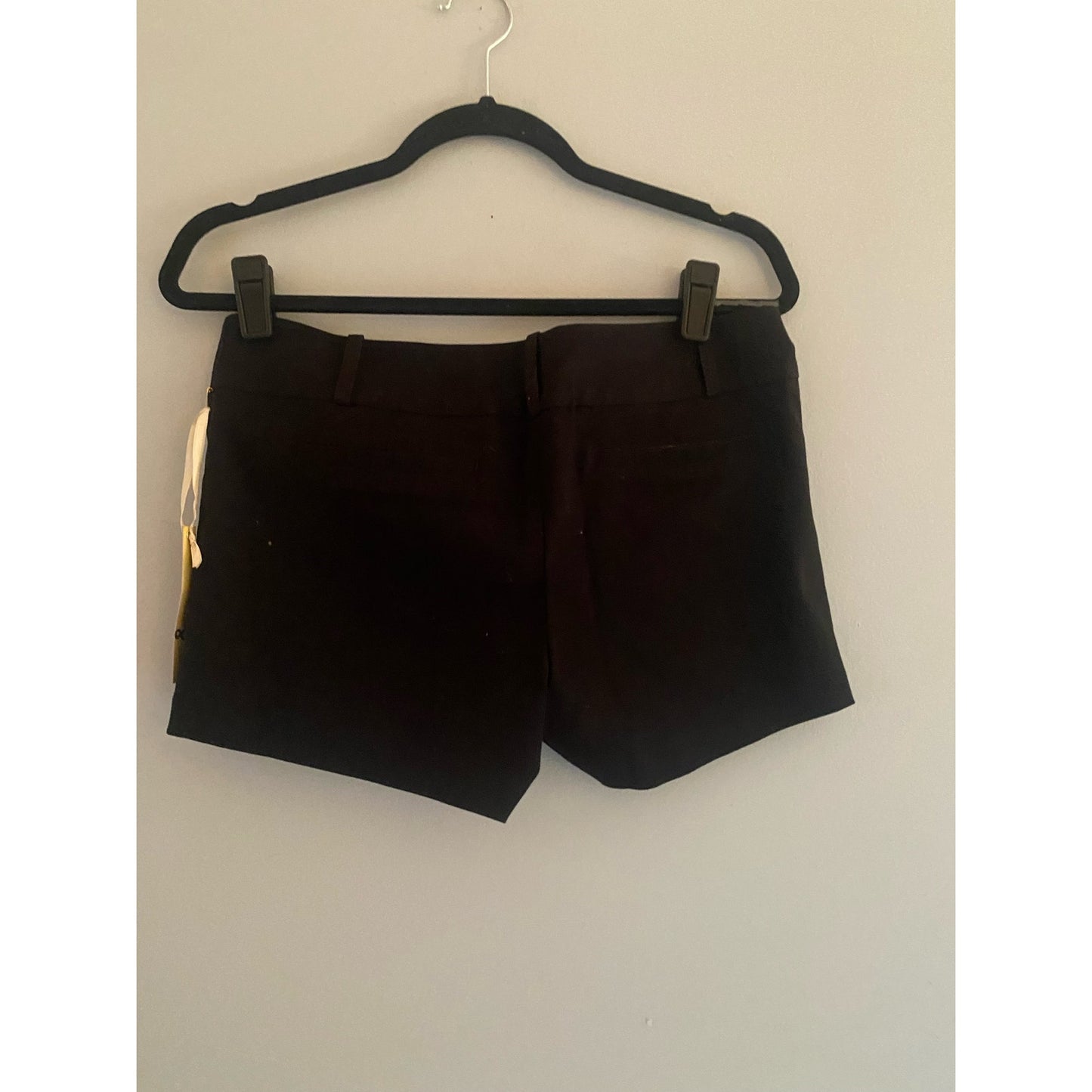 NWT Have & Have Black Shorts Size L