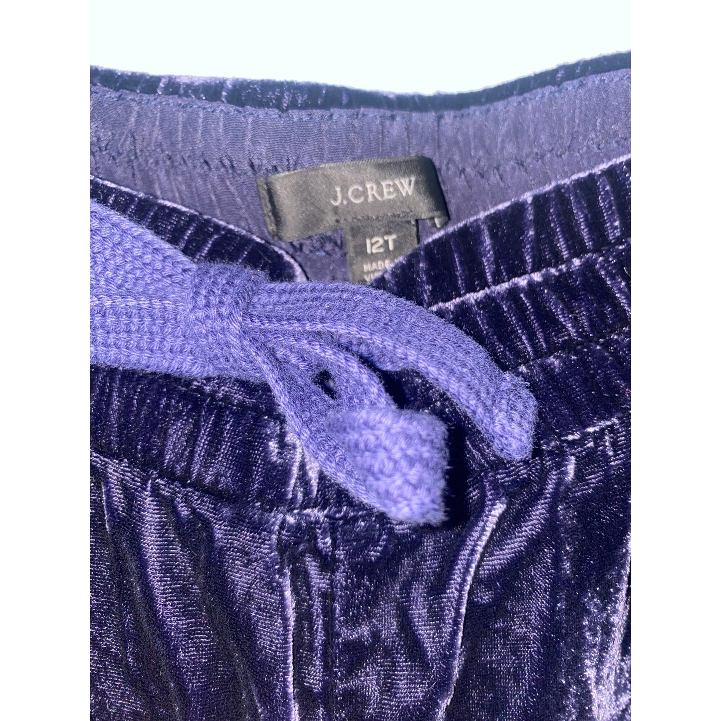 J. Crew Purple Velvet Joggers Size 12T