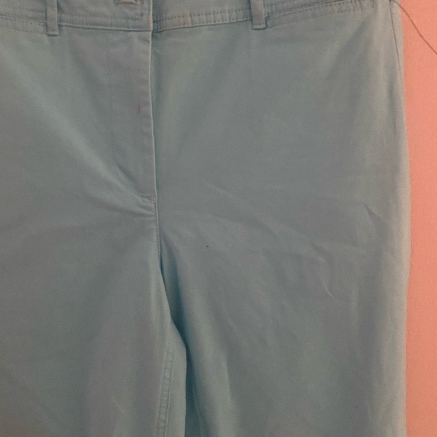 NWOT Talbots Wide Leg Crop Chinos Size 2