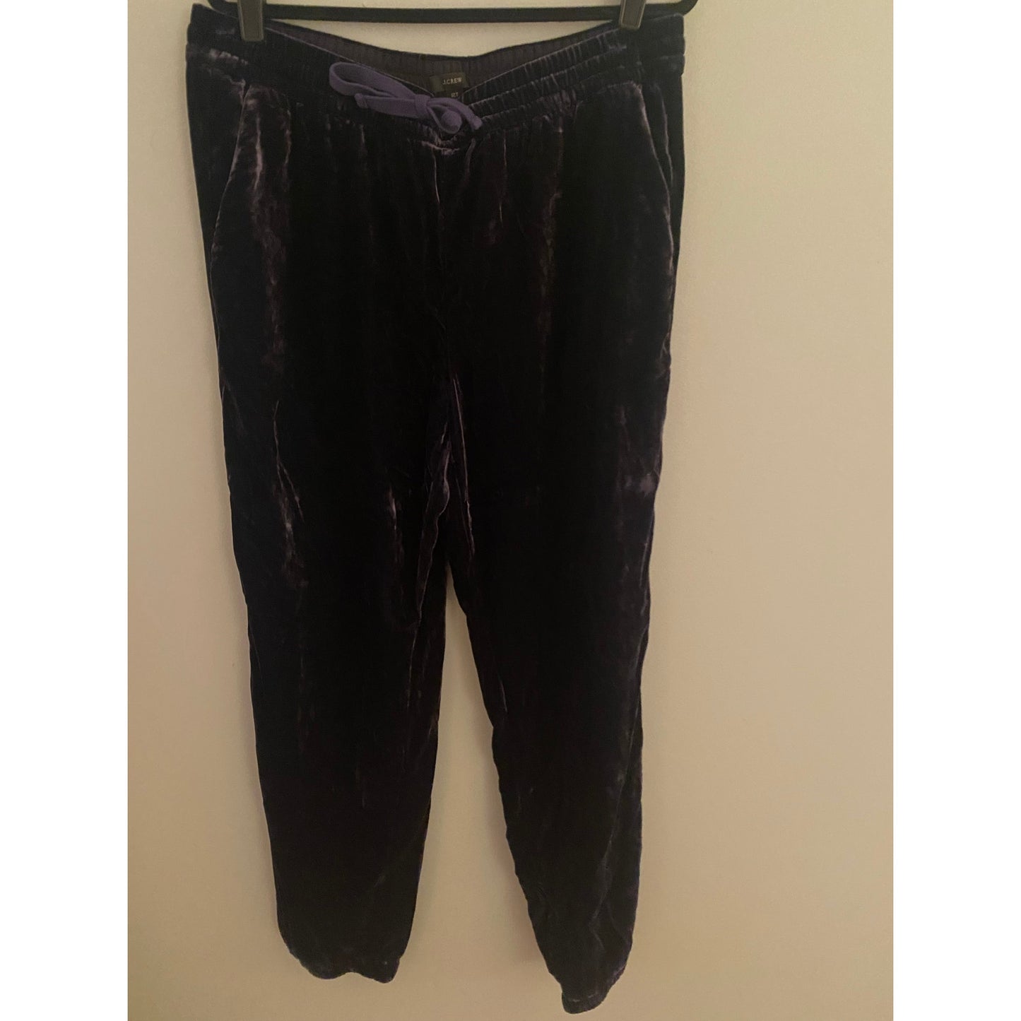 J. Crew Purple Velvet Joggers Size 12T