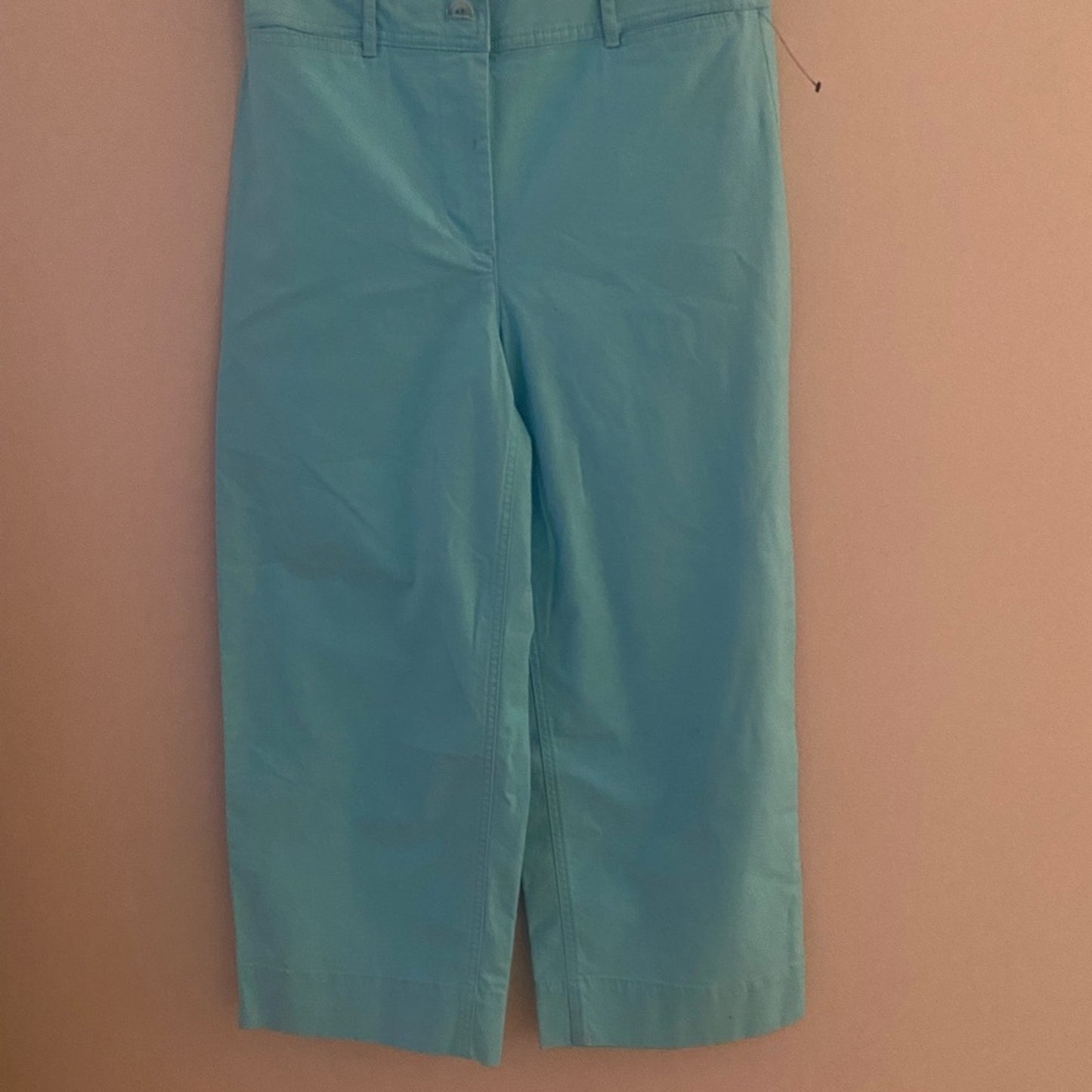 NWOT Talbots Wide Leg Crop Chinos Size 2